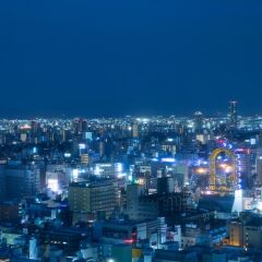Hotel Nikko Osaka фото 22
