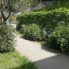 Отель Ostello per la Gioventù Genova Генуя