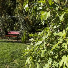 Отель Feng Shui Wellness Apartmanház Венгрия, Хевиз - отзывы, цены и фото номеров - забронировать отель Feng Shui Wellness Apartmanház онлайн фото 11