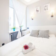Отель Little Home - Charlie Польша, Варшава - отзывы, цены и фото номеров - забронировать отель Little Home - Charlie онлайн комната для гостей фото 5