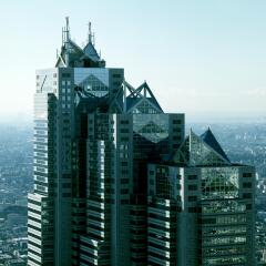 Отель Park Hyatt Tokyo Токио приотельная территория