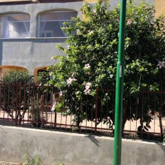 Отель B&B La Via di Casa Агридженто детские мероприятия