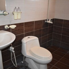 The Elegant Hotel in Rawalpindi, Pakistan from 85$, photos, reviews - zenhotels.com bathroom