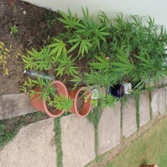 Отель Hotbox Bud & Breakfast спортивное сооружение