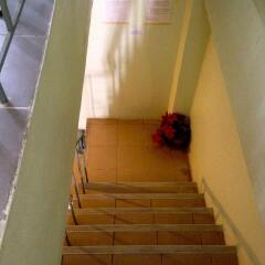 Отель The Backpacker Guesthouse интерьер отеля фото 3