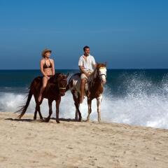 Отель Cabo Azul Resort by Diamond Resorts Мексика, Сан-Хосе-дель-Кабо - отзывы, цены и фото номеров - забронировать отель Cabo Azul Resort by Diamond Resorts онлайн пляж
