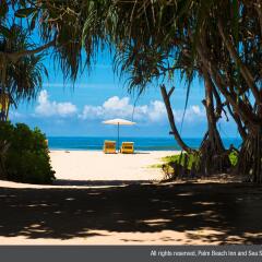Отель Palm Beach Inn and Sea Shells Cabanas Шри-Ланка, Бентота - отзывы, цены и фото номеров - забронировать отель Palm Beach Inn and Sea Shells Cabanas онлайн пляж
