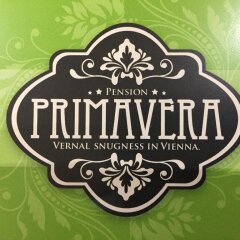 Отель Pension Primavera Австрия, Вена - отзывы, цены и фото номеров - забронировать отель Pension Primavera онлайн интерьер отеля