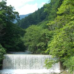 Отель Kashiwaya Ryokan Shima Onsen фото 16