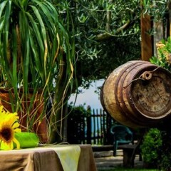Отель Agriturismo Mare e Monti Аджерола фото 18