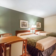 Отель Econo Lodge Oxmoor США, Хоумвуд - отзывы, цены и фото номеров - забронировать отель Econo Lodge Oxmoor онлайн комната для гостей фото 3