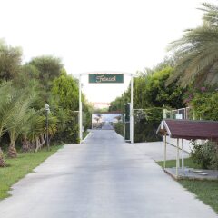 Febeach Hotel Турция, Сиде - отзывы, цены и фото номеров - забронировать отель Febeach Hotel - All Inclusive онлайн фото 5