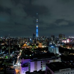 Asakusa View Hotel балкон