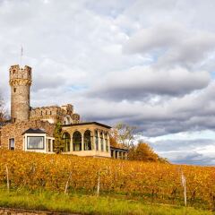 Relais & Châteaux Hotel Burg Schwarzenstein Гайзенхайм