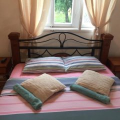Guest House Durmitor Paradise in Zabljak, Montenegro from 97$, photos, reviews - zenhotels.com guestroom photo 2