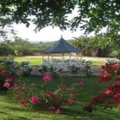 Отель Happy Lands Self Catering/B&B фото 18