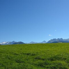 Отель Henry (Hochparterre)