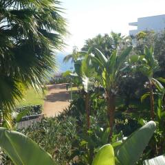 Отель Vidamar Resort Madeira - Half Board Only Португалия, Фуншал - отзывы, цены и фото номеров - забронировать отель Vidamar Resort Madeira - Half Board Only онлайн фото 5