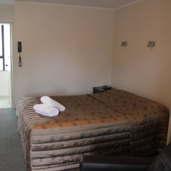 Отель Cherylea Motel Новая Зеландия, Бленем - отзывы, цены и фото номеров - забронировать отель Cherylea Motel онлайн комната для гостей