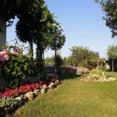 Отель Guest House Zdravec Болгария, Балчик - отзывы, цены и фото номеров - забронировать отель Guest House Zdravec онлайн фото 9