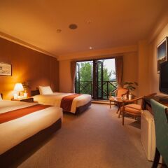 Hakuba Springs Hotel Хакуба комната для гостей