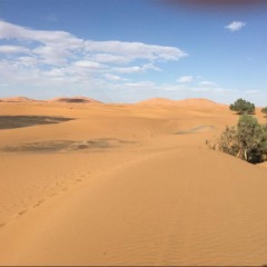 Отель Le Petit Prince Merzouga Марокко, Мерзуга - отзывы, цены и фото номеров - забронировать отель Le Petit Prince Merzouga онлайн приотельная территория