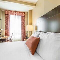 Отель Comfort Inn Downtown Vancouver Канада, Ванкувер - отзывы, цены и фото номеров - забронировать отель Comfort Inn Downtown Vancouver онлайн комната для гостей фото 5