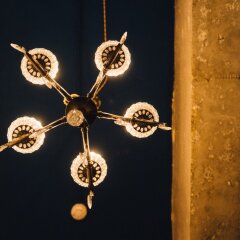 Хостел Fabrika Moscow с домашними животными