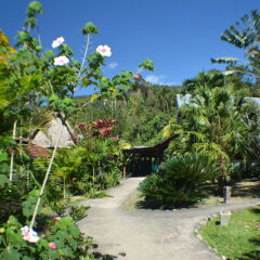 Отель Omega Tours Adventure Company & Eco Jungle Lodge пляж