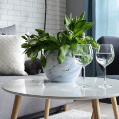 Апартаменты Comfortable Apartment in Warsaw в номере фото 2