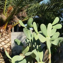 Отель In the garden B&B Лечче