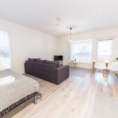 Отель SSA Spot spacy 2-room apt ID 5003B5 Финляндия, Вантаа - отзывы, цены и фото номеров - забронировать отель SSA Spot spacy 2-room apt ID 5003B5 онлайн комната для гостей фото 4