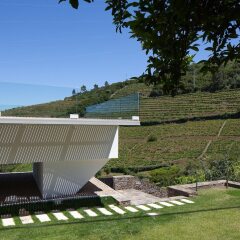 Отель Quinta De Casaldronho Wine Hotel Португалия, Ламего - отзывы, цены и фото номеров - забронировать отель Quinta De Casaldronho Wine Hotel онлайн фото 17