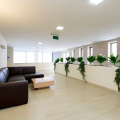Отель Sun Resort Apartments Венгрия, Будапешт - 5 отзывов об отеле, цены и фото номеров - забронировать отель Sun Resort Apartments онлайн помещение для мероприятий