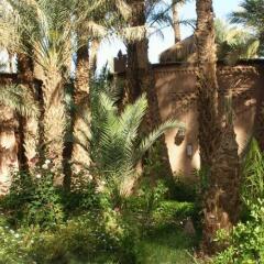 Отель Riad Lamane Марокко, Загора - отзывы, цены и фото номеров - забронировать отель Riad Lamane онлайн фото 4