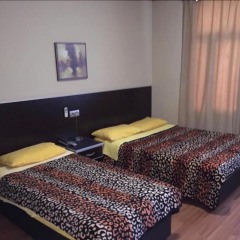 Отель Altindisler Otel комната для гостей фото 2