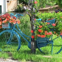 Отель Agriturismo Ca' Marcello Италия, Мира - отзывы, цены и фото номеров - забронировать отель Agriturismo Ca' Marcello онлайн с домашними животными