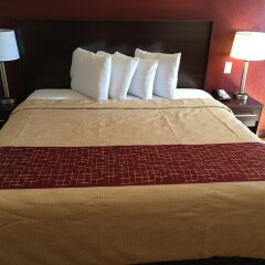 Отель Red Roof Inn Columbus - Ohio State Fairgrounds США, Колумбус - отзывы, цены и фото номеров - забронировать отель Red Roof Inn Columbus - Ohio State Fairgrounds онлайн комната для гостей фото 3