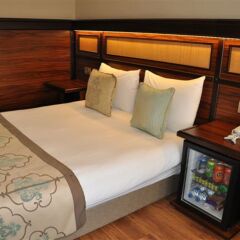 Boyuguzel Termal Hotel Турция, Бурса - отзывы, цены и фото номеров - забронировать отель Boyuguzel Termal Hotel онлайн удобства в номере