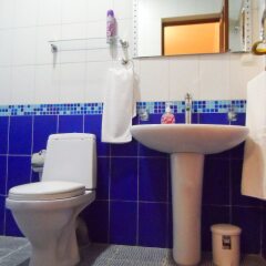 Отель Jermuk Guest House Армения, Джермук - отзывы, цены и фото номеров - забронировать отель Jermuk Guest House онлайн фото 4