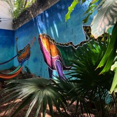 Отель The Mermaid Hostel Downtown - Adults Only Мексика, Канкун - отзывы, цены и фото номеров - забронировать отель The Mermaid Hostel Downtown - Adults Only онлайн бассейн фото 3