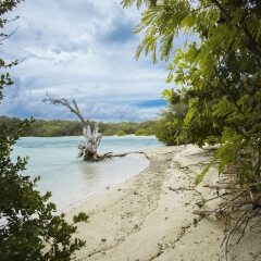 Отель Sea Retreats Thulusdhoo Остров Гасфинолу пляж