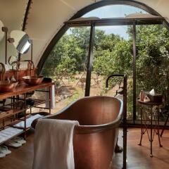 Отель Wild Coast Tented Lodge - All Inclusive Шри-Ланка, Тиссамахарама - отзывы, цены и фото номеров - забронировать отель Wild Coast Tented Lodge - All Inclusive онлайн удобства в номере