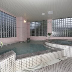 Hakuba Springs Hotel Хакуба бассейн фото 3