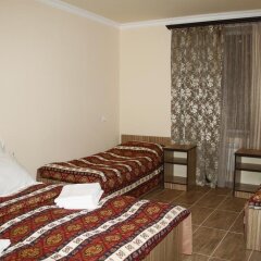 Zanger Hotel комната для гостей фото 5