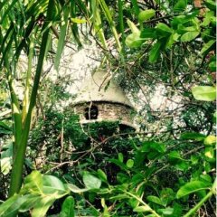 Отель Dao Anh Khanh Treehouse Ханой