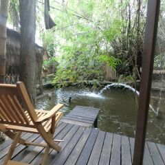 Отель House By The Pond
