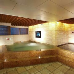 Отель Novotel Ambassador Seoul Gangnam сауна