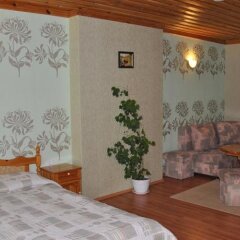 Отель Family Hotel Shoky Болгария, Чепеларе - отзывы, цены и фото номеров - забронировать отель Family Hotel Shoky онлайн комната для гостей фото 2