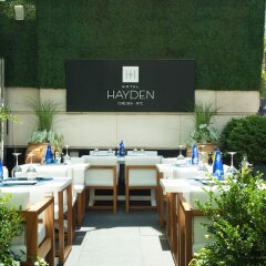 Отель Hayden США, Нью-Йорк - отзывы, цены и фото номеров - забронировать отель Hayden онлайн фото 12